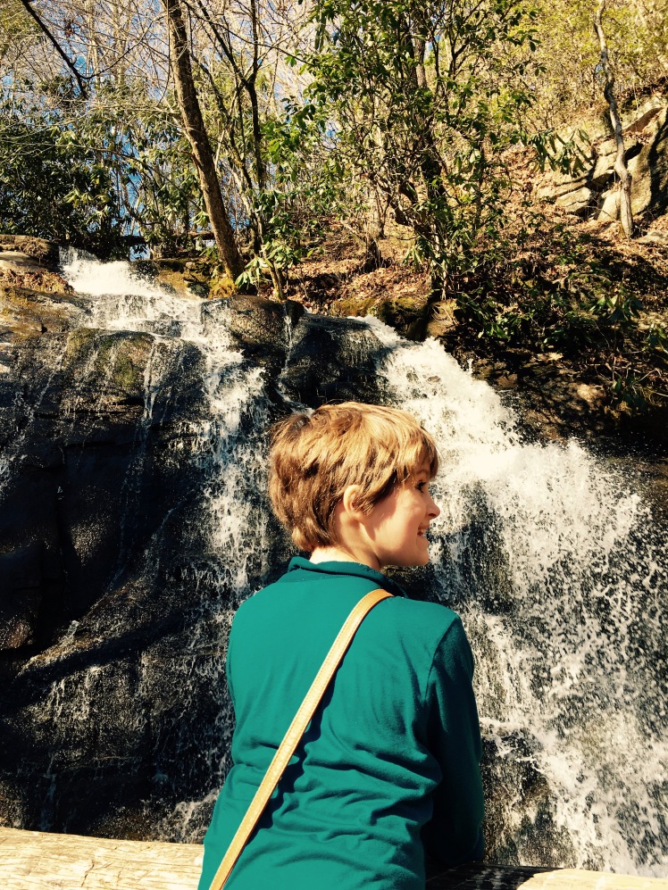 Juney Whank Falls Trail
