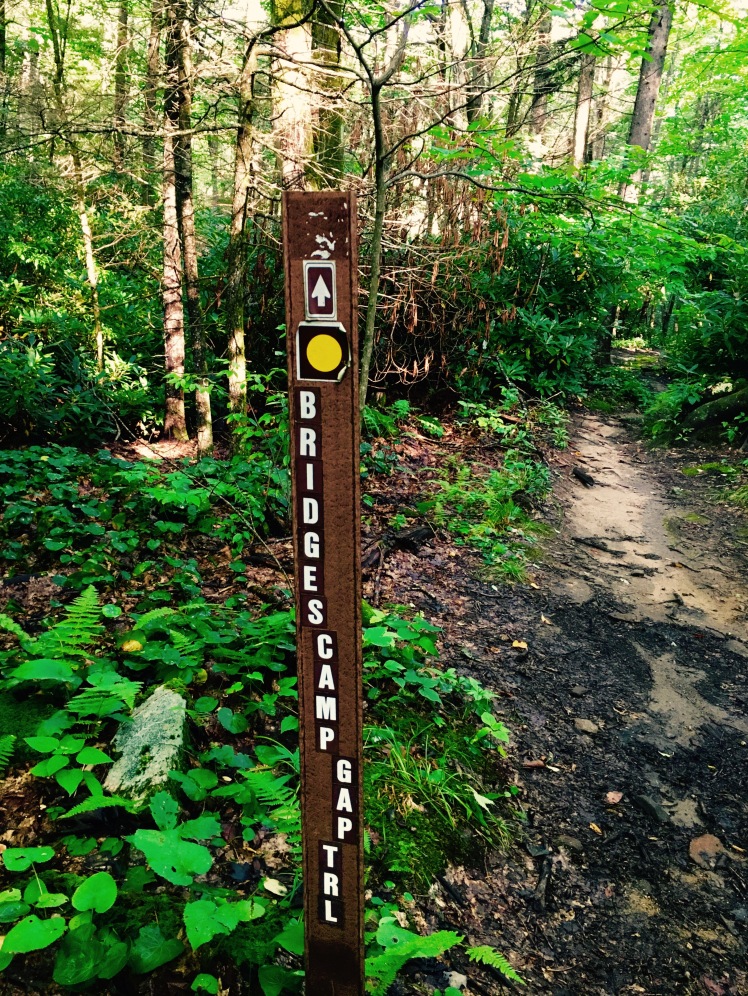 Bridges Camp Gap Trail - sign