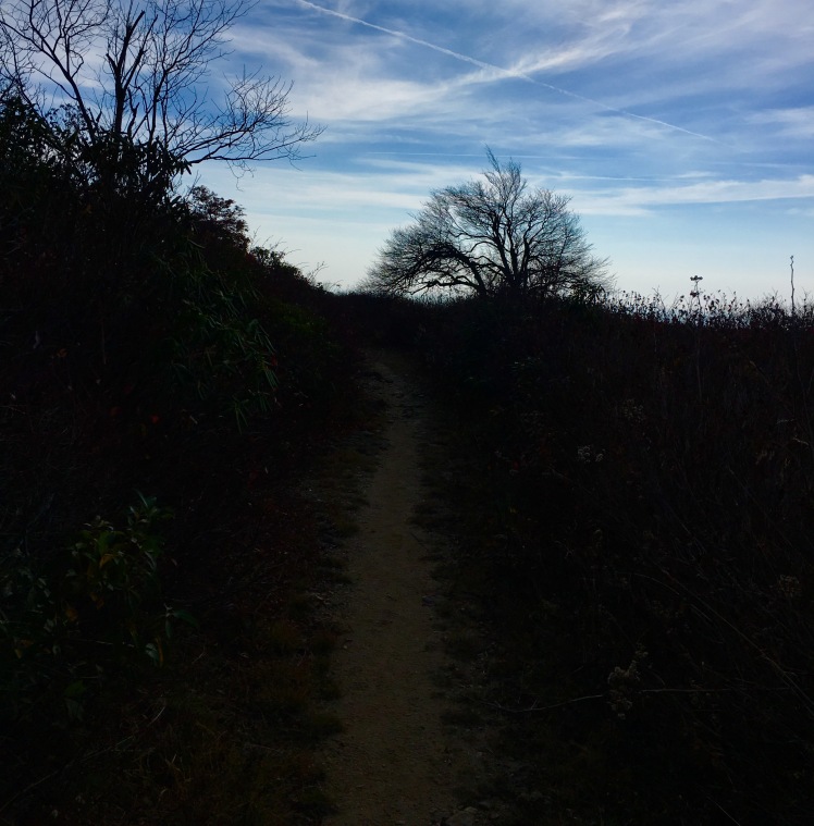 Graveyard Ridge Trail
