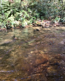 Bradley Creek Trail