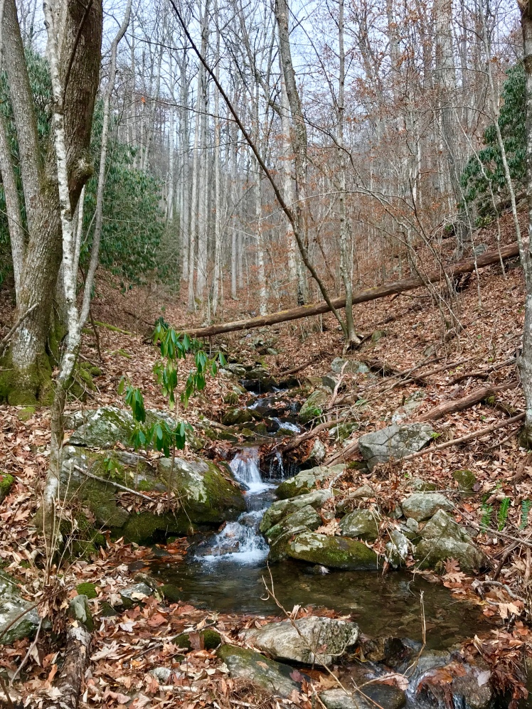 Buck Spring Trail - creek