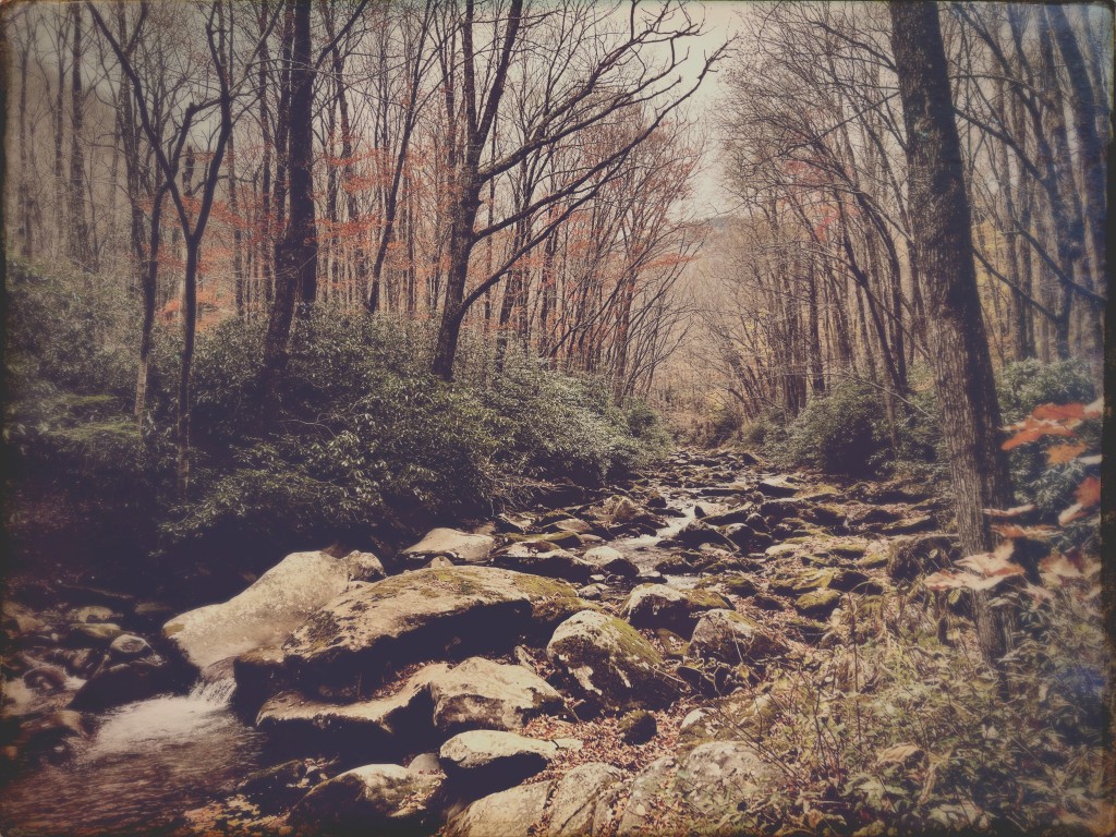Low Gap Trail - creek