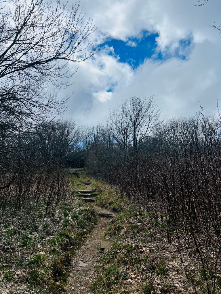 Appalachian Trail - trail near Spence Field